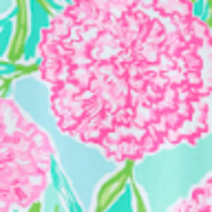 Meet your Posher, Cara